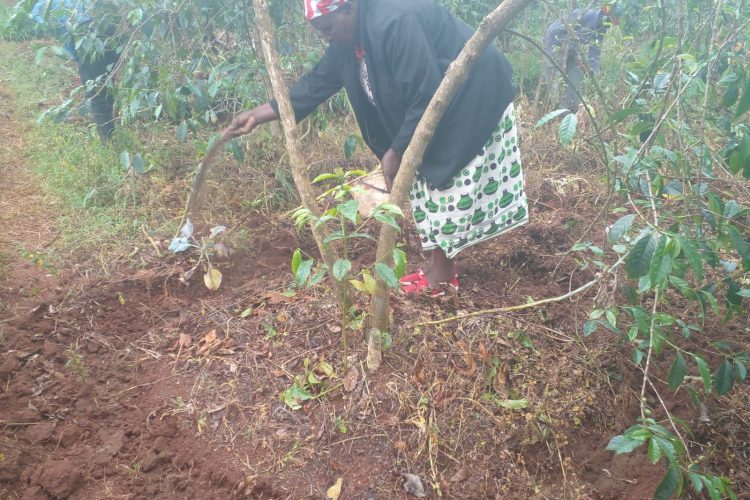 Farmers training
