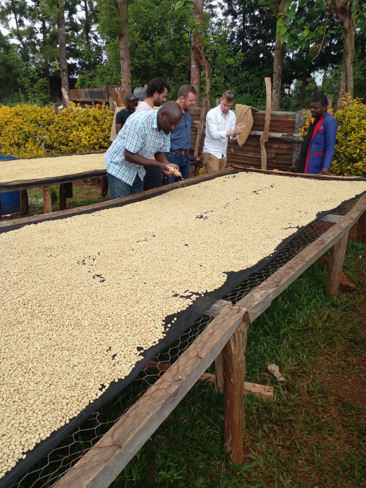 Agricultural Consultancy